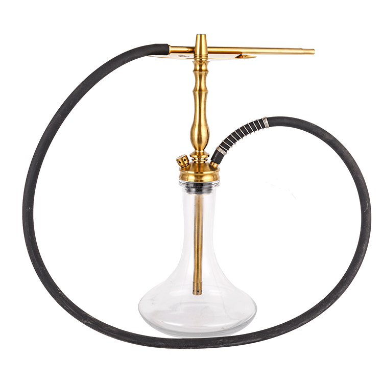 Vitrum aureum perlucidum Steel Single Hole Hookah 50cm